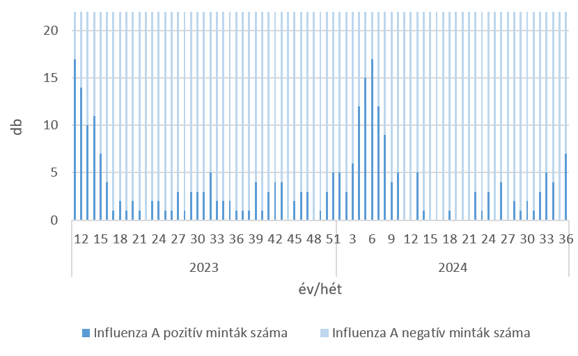 szennyviz 2024 36 6