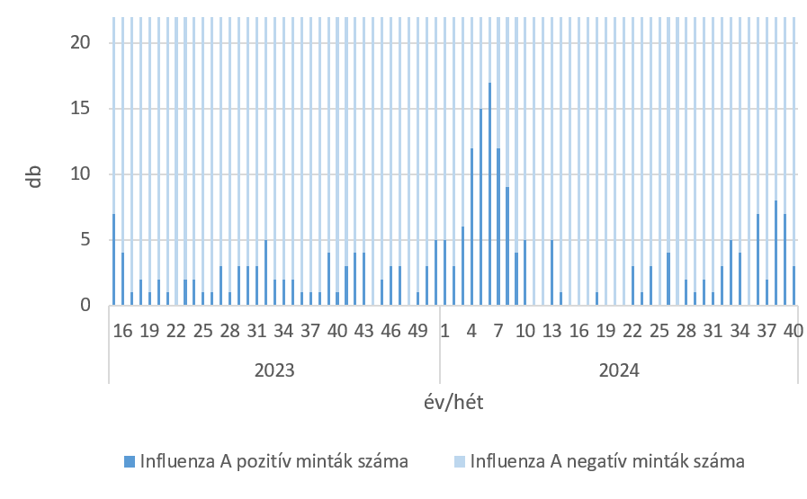 szennyviz 2024 40 6