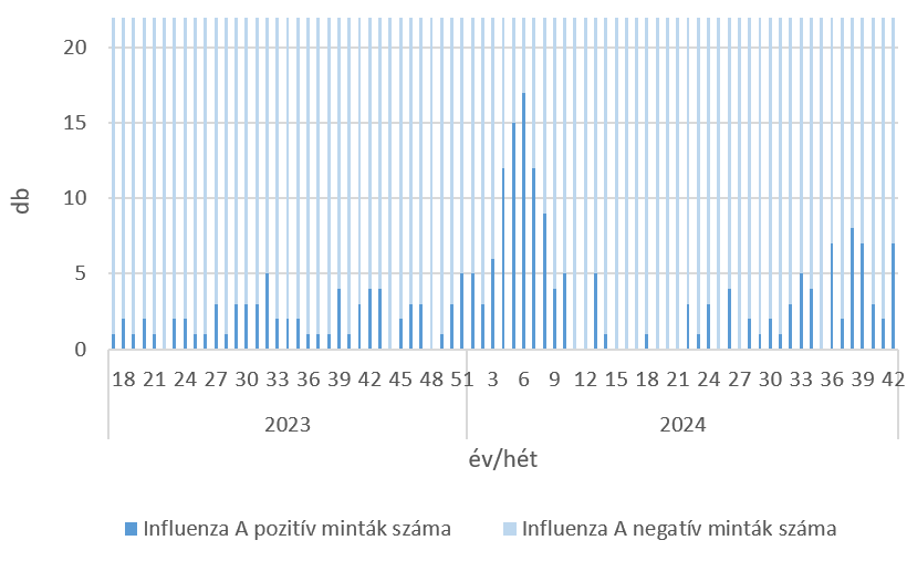 szennyviz 2024 42 6